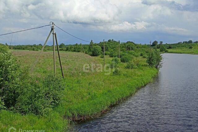 земля Прусынская Горка фото