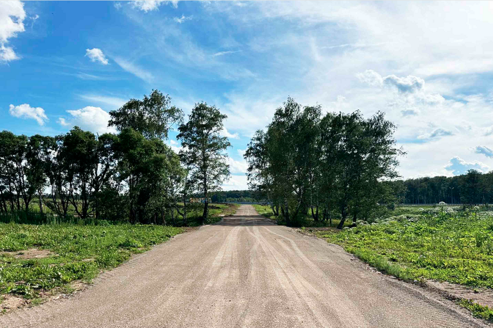 земля городской округ Домодедово Кузьминское фото 3