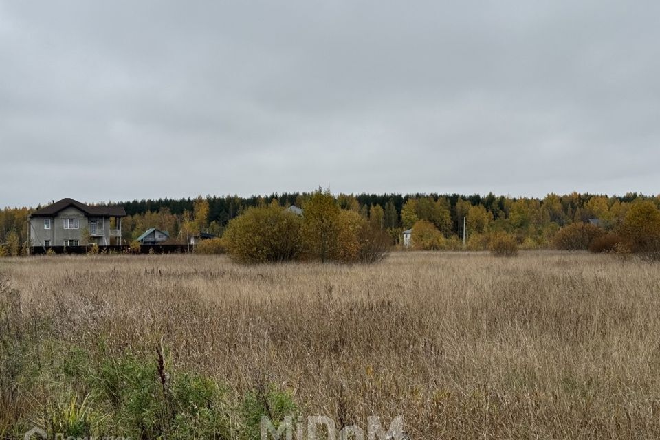 земля р-н Всеволожский Росток-Соржа фото 8