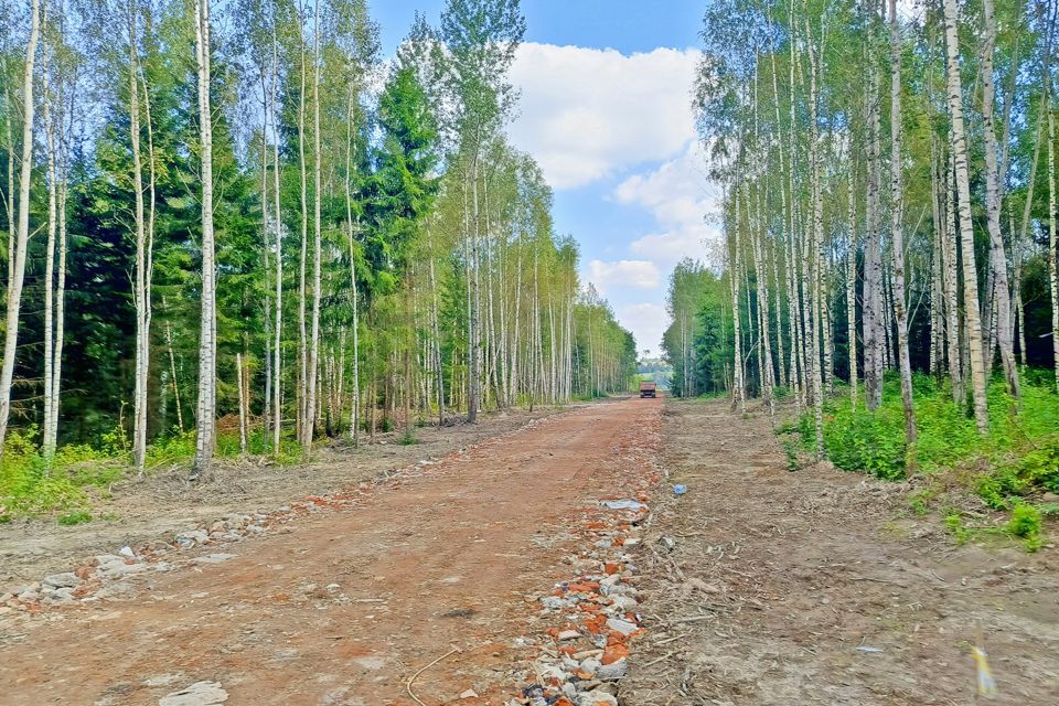 земля г Зеленоград ул Каменка Московская область, Дмитровский городской округ фото 6