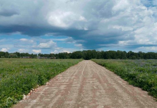 земля городской округ Истра ТСН Новое Духанино фото 9