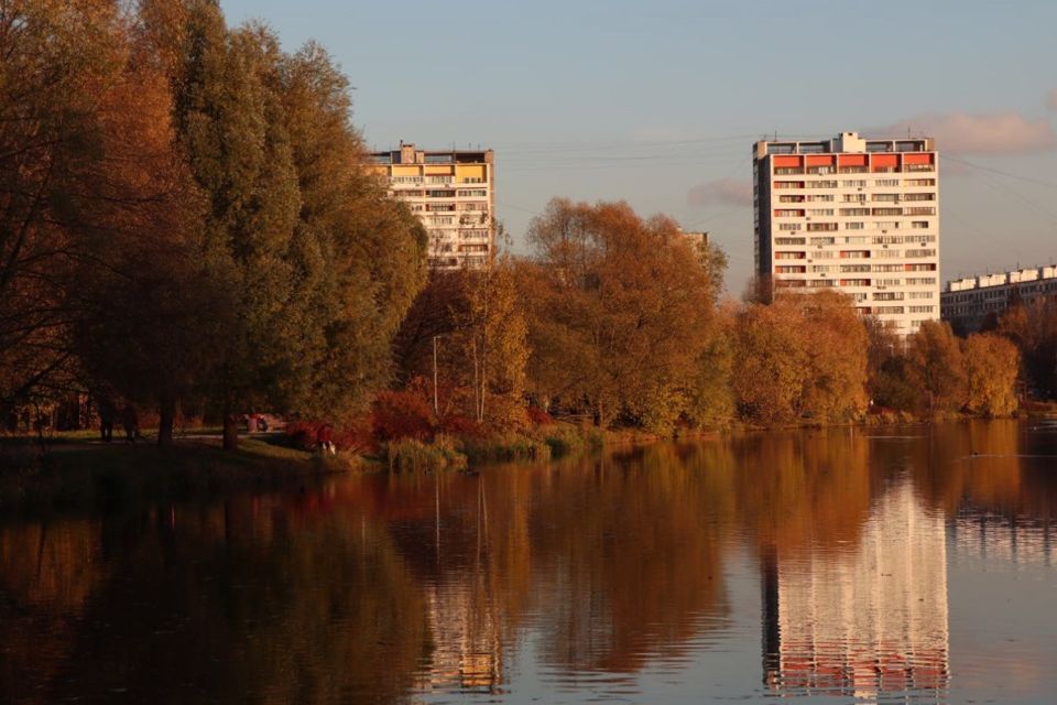 квартира г Москва пр-кт Свободный 7/1 Восточный административный округ фото 1