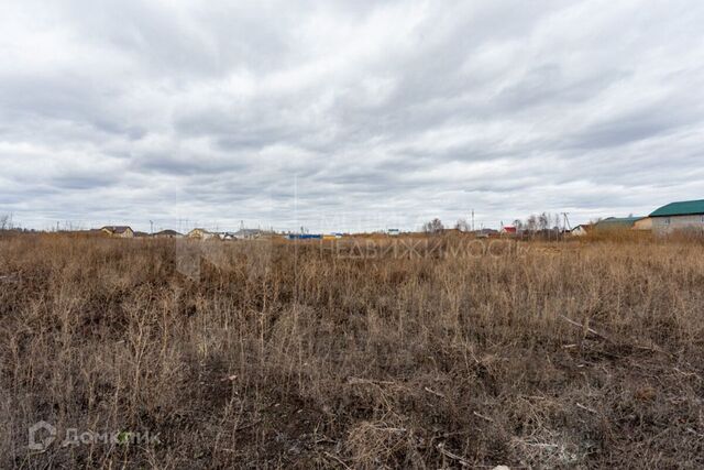 городской округ Тюмень, СО Поле чудес фото