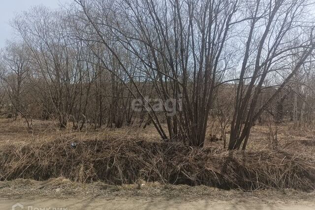 ул Книжная городской округ Южно-Сахалинск фото