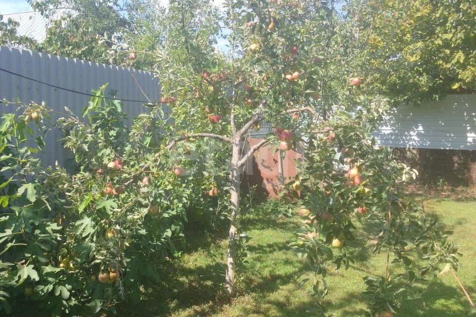 земля р-н Майкопский Республика Адыгея Адыгея, станица Абадзехская фото 1