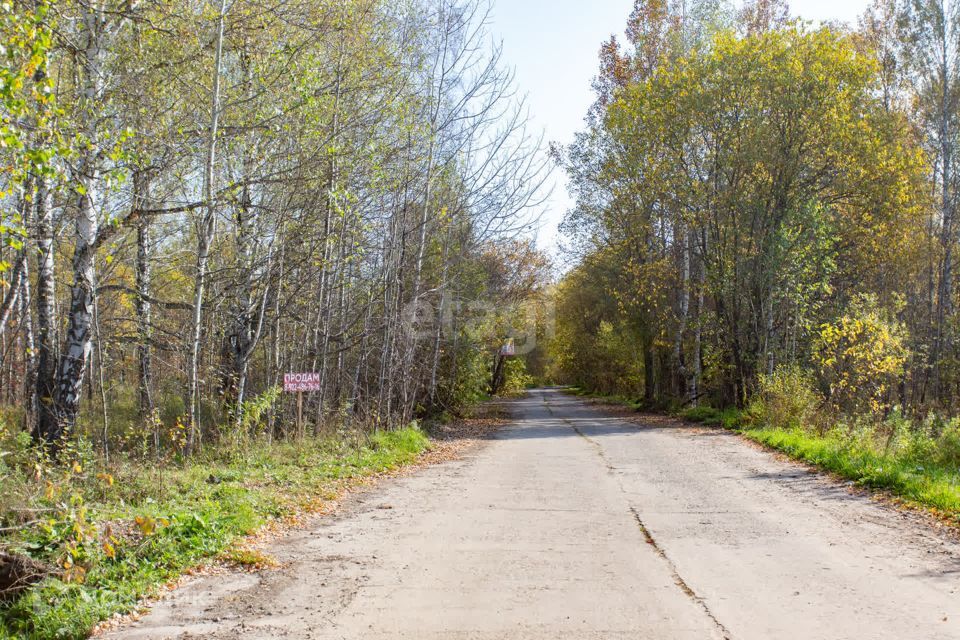 земля г Тобольск Центральная улица, городской округ Тобольск фото 1