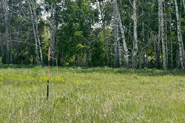 Азовский район, село Азово фото