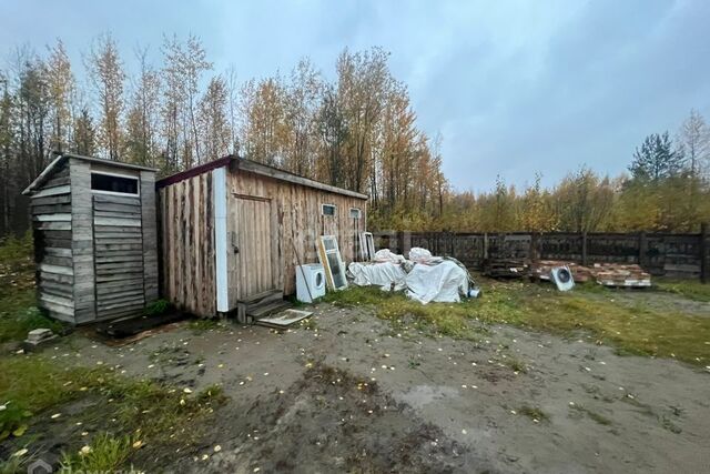 городской округ Лангепас, СНТ Астра фото