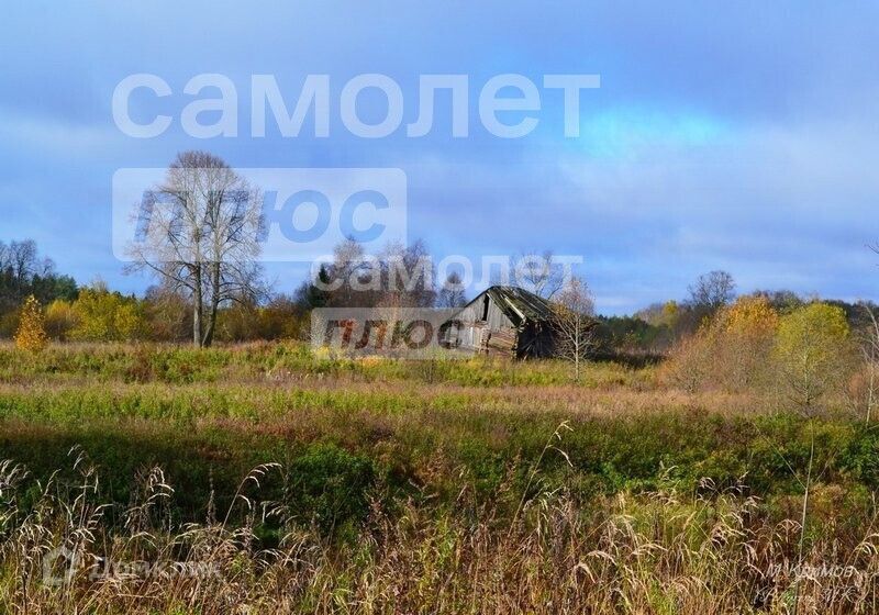 земля р-н Вологодский деревня Винниково фото 4