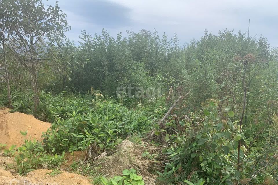 земля г Южно-Сахалинск городской округ Южно-Сахалинск, СНТ Связист фото 3