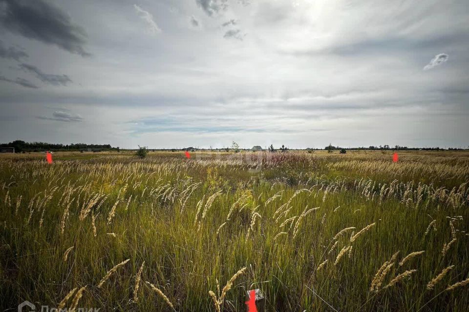 земля г Тамбов Малиновка микрорайон городской округ Тамбов, микрорайон Малиновка фото 2