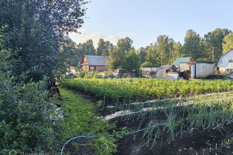 земля р-н Артемовский п Красногвардейский Берёзовский городской округ, садоводческое потребительское общество № 129 Красногвардейский фото 3