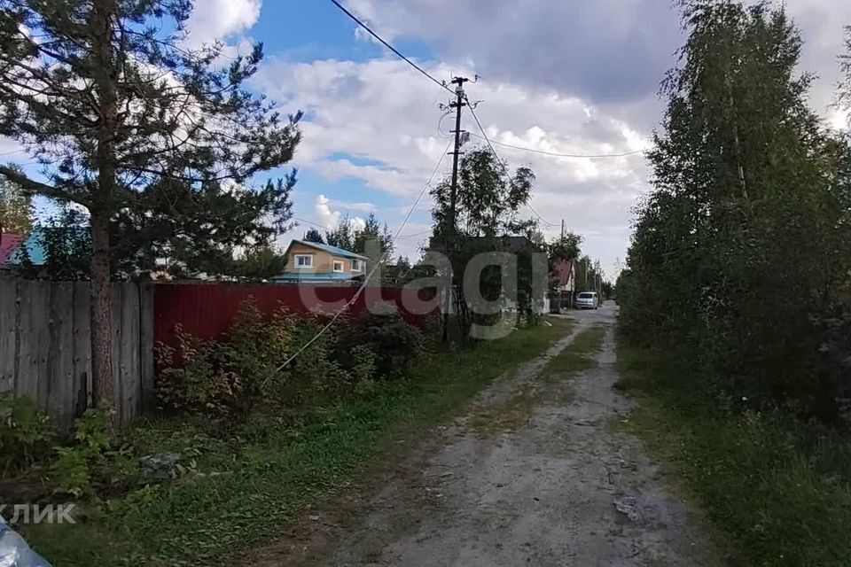 земля г Сургут снт терГвоздичка ул 1-я 82 Сургут городской округ фото 4