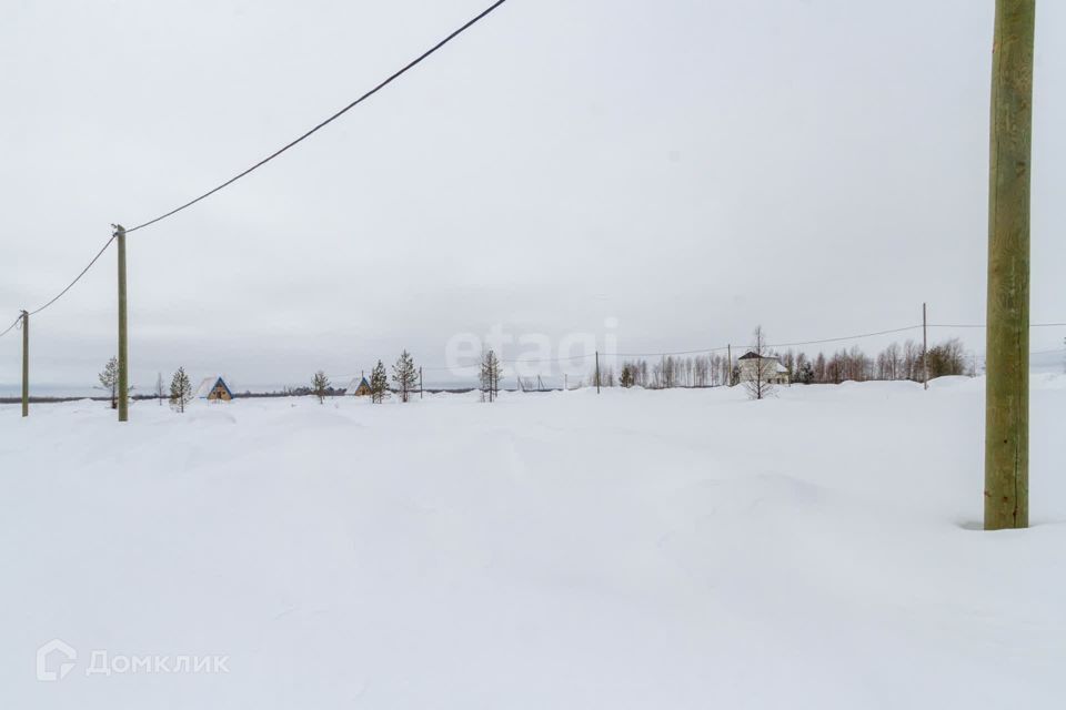 земля р-н Сургутский фото 4