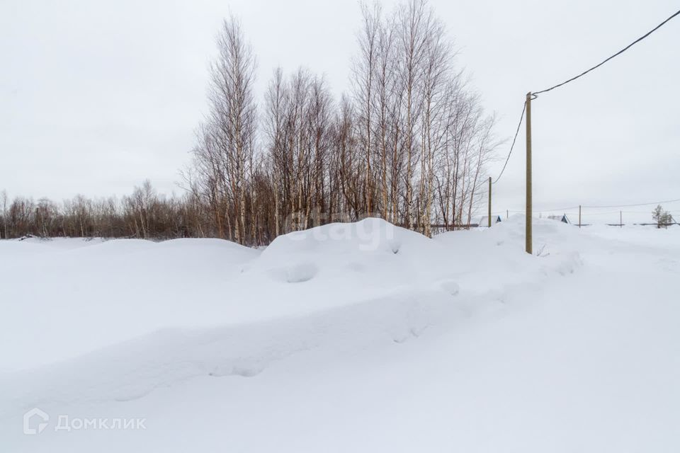 земля р-н Сургутский фото 4