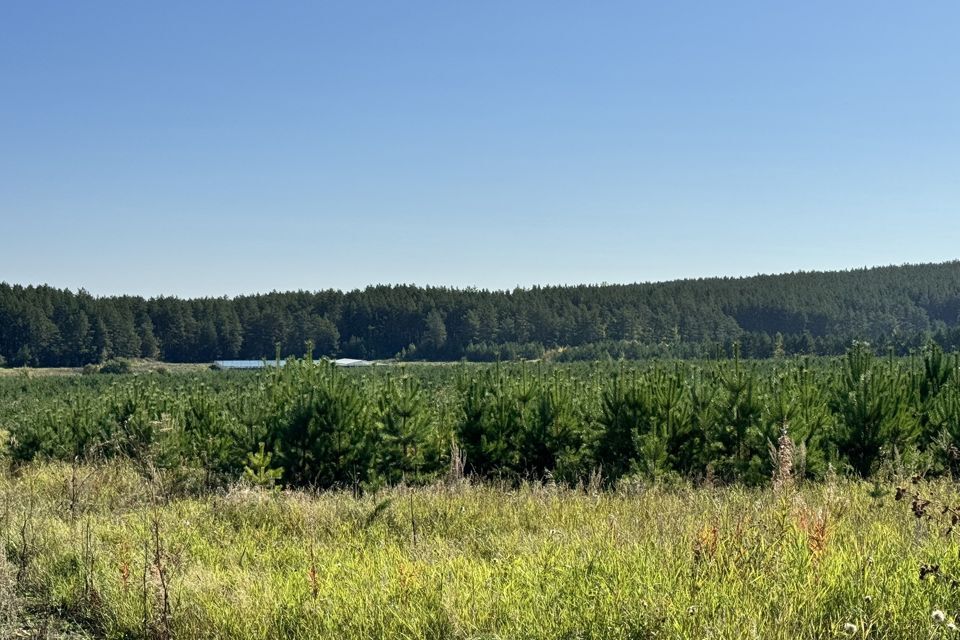 земля р-н Сысертский фото 4