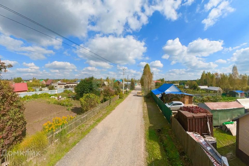 земля р-н Тюменский снт Нива ул Центральная фото 3