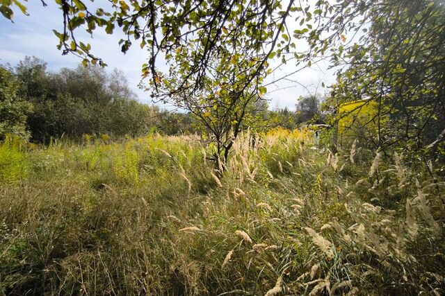 городской округ Обнинск, СНТ Протва фото