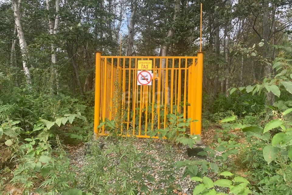 земля г Южно-Сахалинск городской округ Южно-Сахалинск, СНТ Связист фото 5