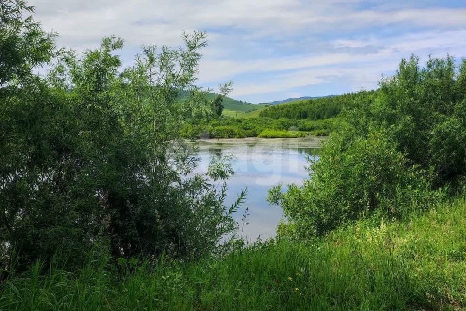 земля р-н Алтайский село Ая фото 5