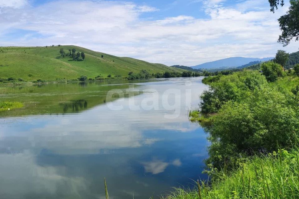 земля р-н Алтайский село Ая фото 9