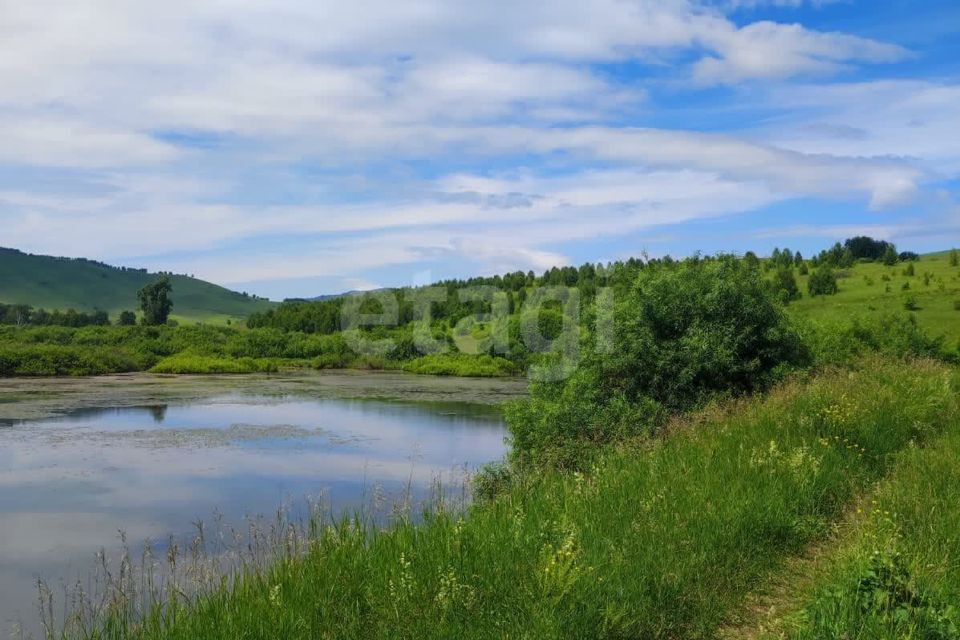 земля р-н Алтайский село Ая фото 10