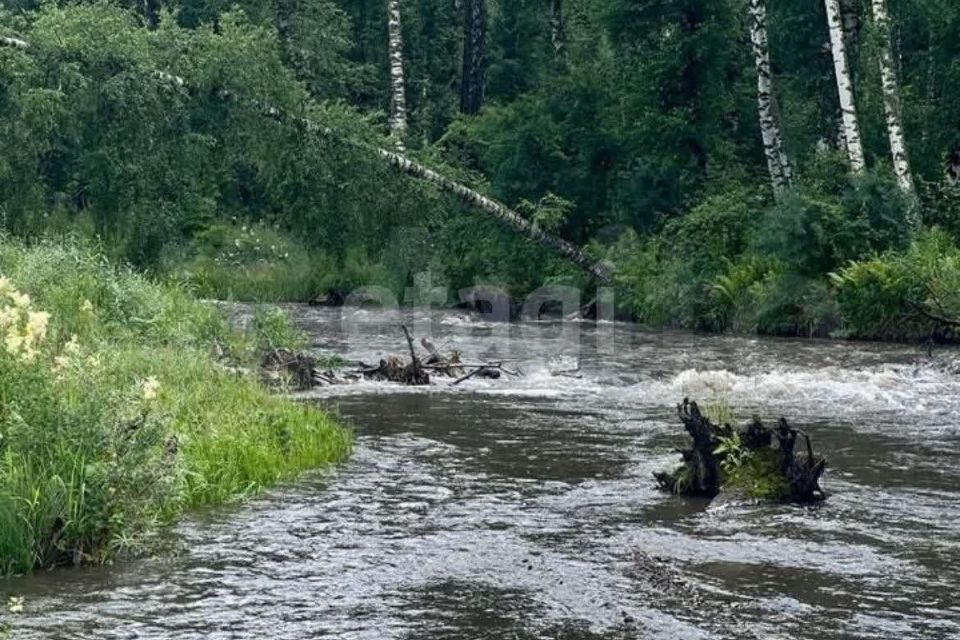 земля р-н Шебалинский с Мыюта Российская фото 5