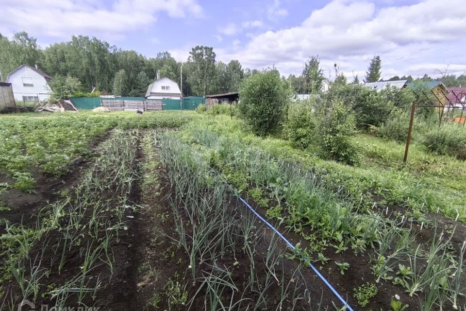 земля р-н Артемовский п Красногвардейский Берёзовский городской округ, садоводческое потребительское общество № 129 Красногвардейский фото 7