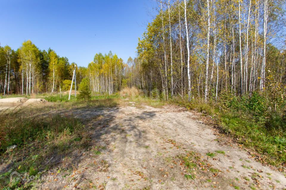 земля г Тобольск Центральная улица, городской округ Тобольск фото 8