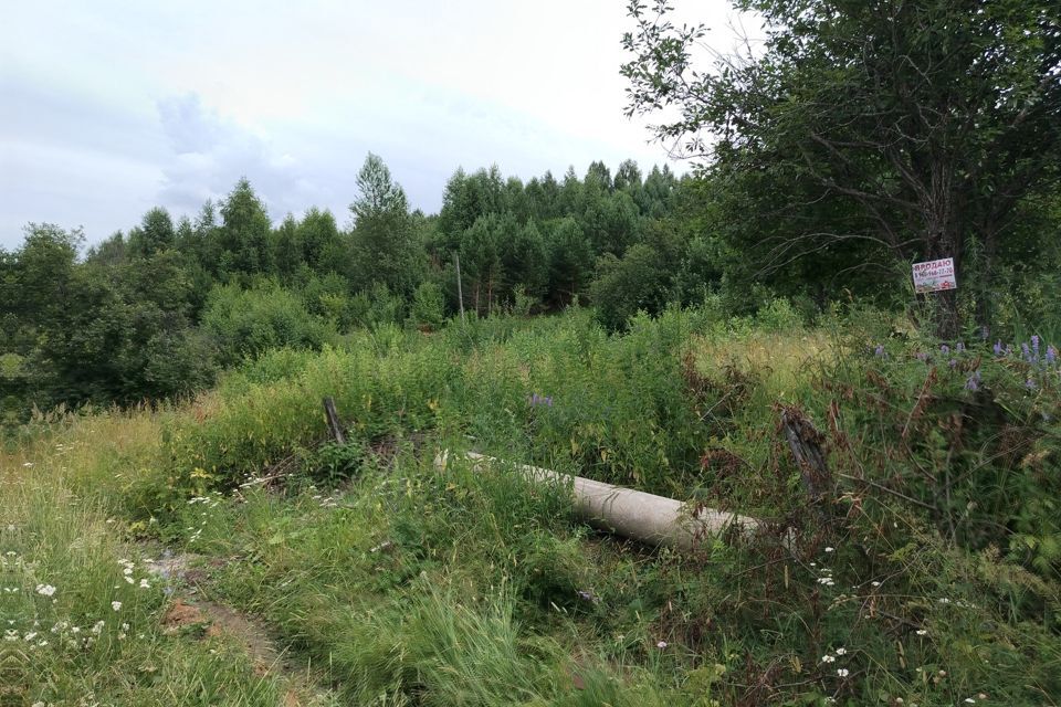 земля г Горно-Алтайск городской округ Горно-Алтайск, Садоводство Алтай-4 фото 2