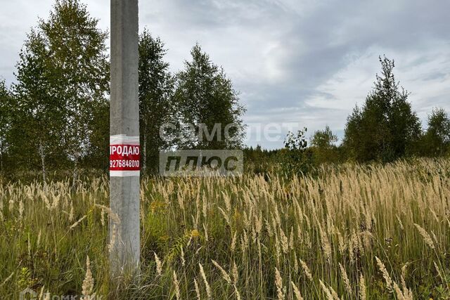 городской округ Йошкар-Ола, Шоя-Кузнецово фото