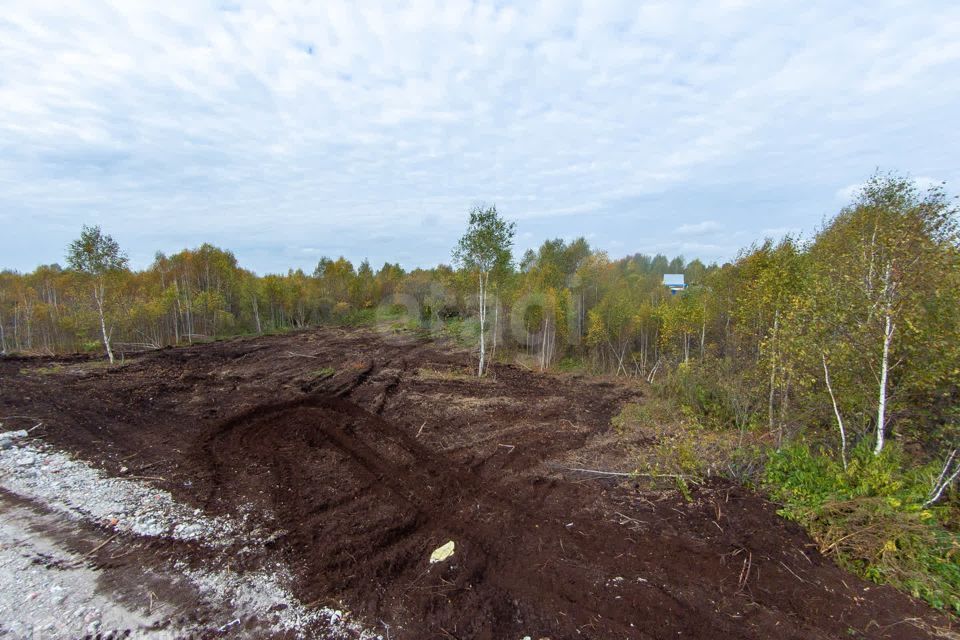 земля г Тюмень тер СК Муравушка ул № 4 3 городской округ Тюмень фото 4