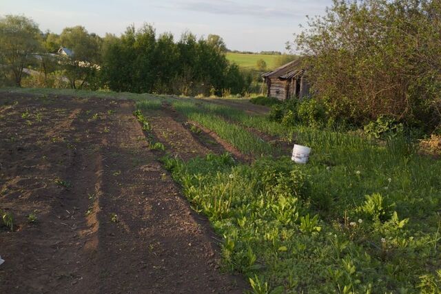 Республика Татарстан Татарстан, Шингальчинское сельское поселение фото