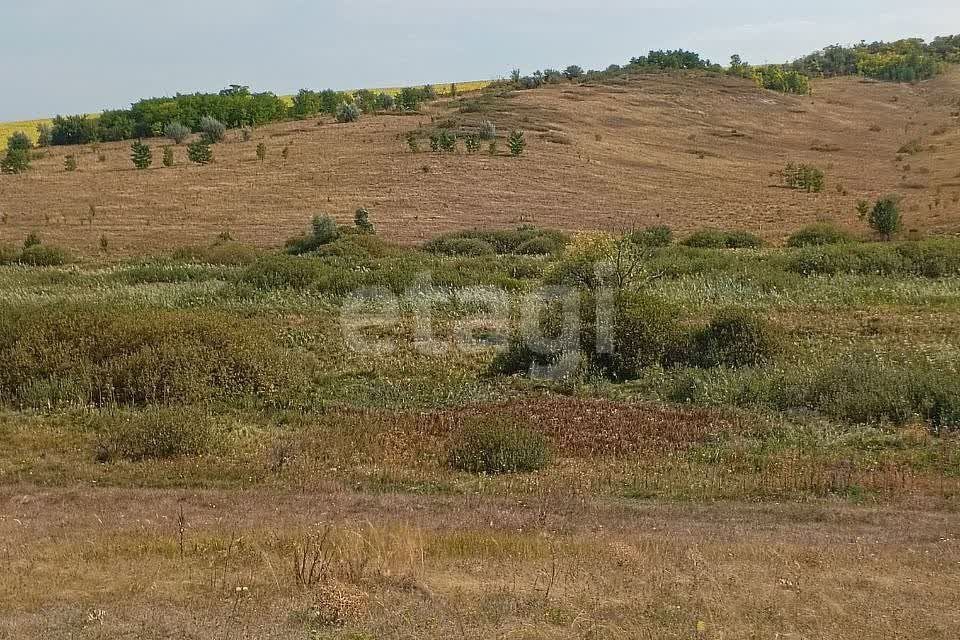 земля р-н Новооскольский с Яковлевка ул Центральная фото 1