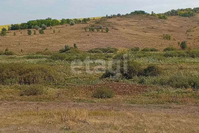 с Яковлевка ул Центральная фото