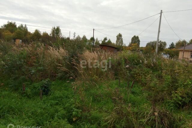 садоводческое товарищество Возрождение фото