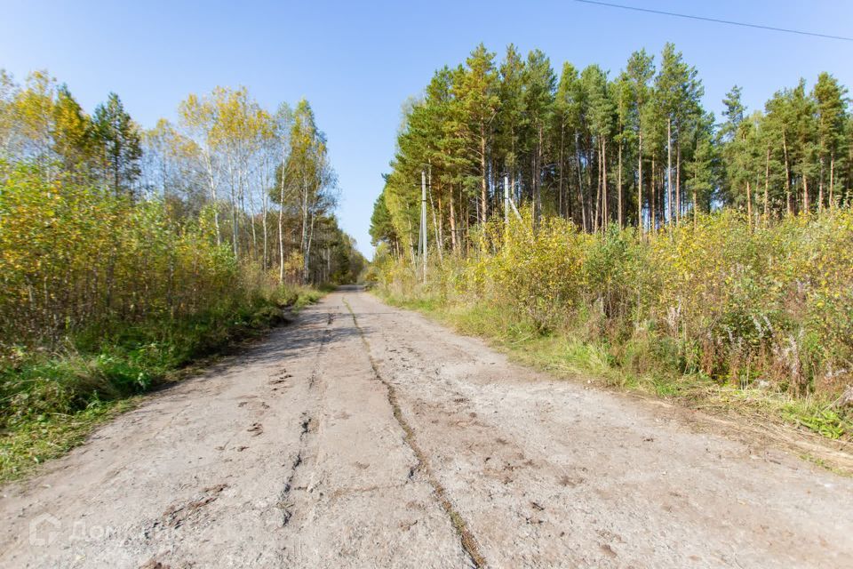 земля г Тобольск Центральная улица, 24, городской округ Тобольск фото 1