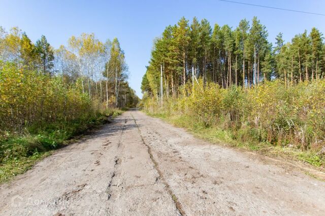 земля Центральная улица, 24, городской округ Тобольск фото