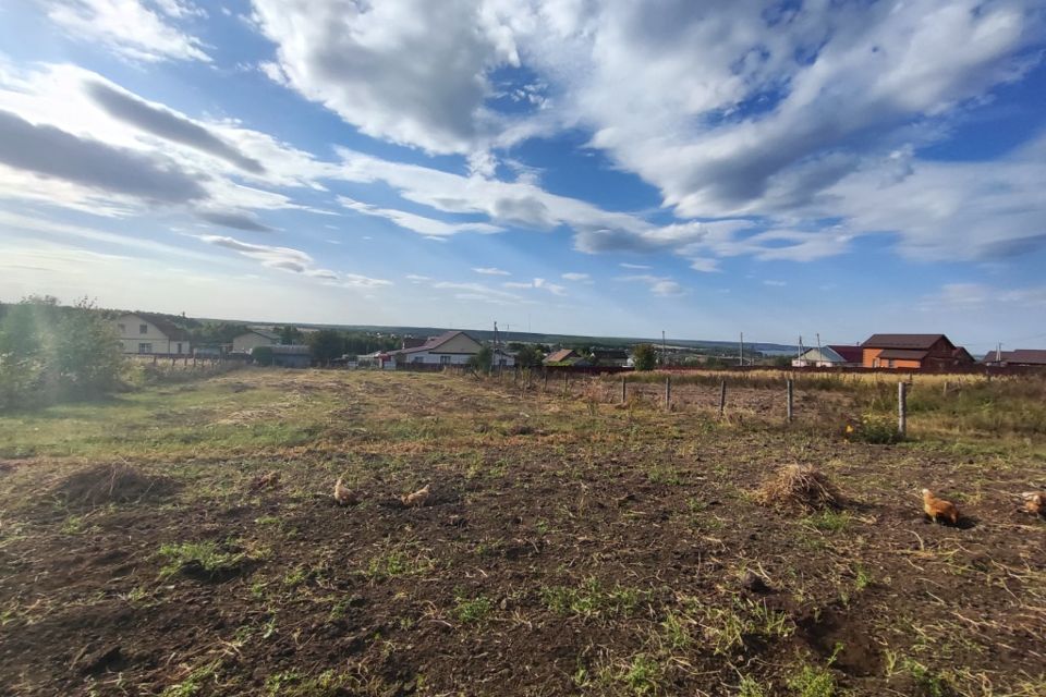 земля р-н Пензенский село Алферьевка фото 2