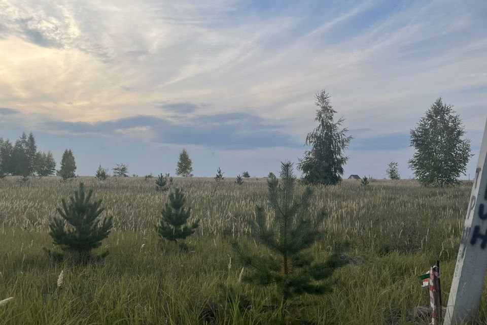 земля р-н Бессоновский село Ухтинка фото 3