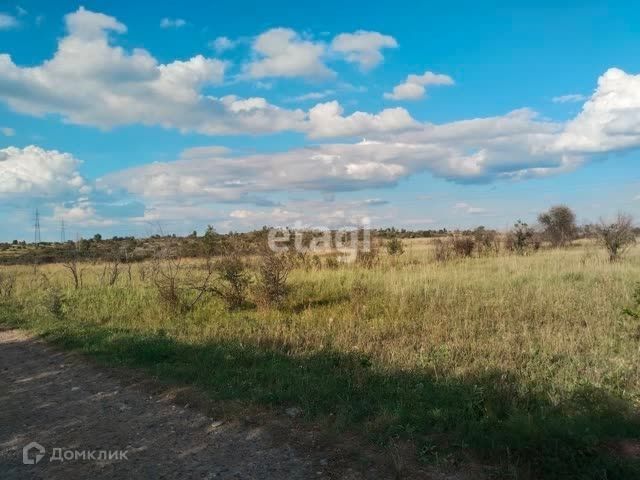 земля р-н Алтайский фото 4