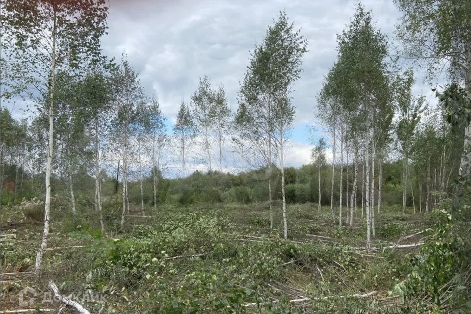 земля г Тюмень снт Светлое городской округ Тюмень, 1-я Степная улица фото 1