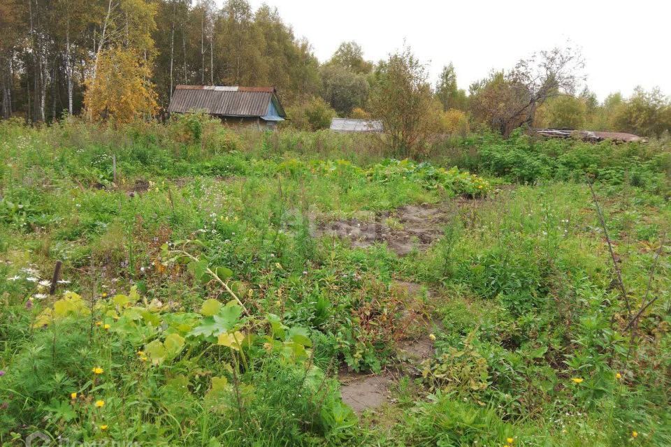 земля р-н Тобольский садоводческое товарищество Возрождение фото 2