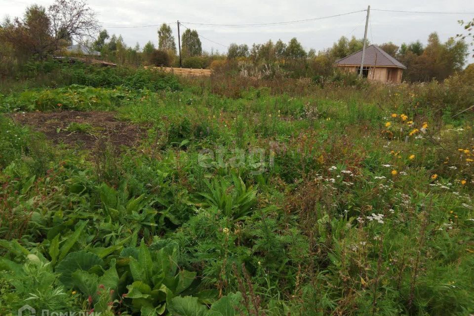 земля р-н Тобольский садоводческое товарищество Возрождение фото 3