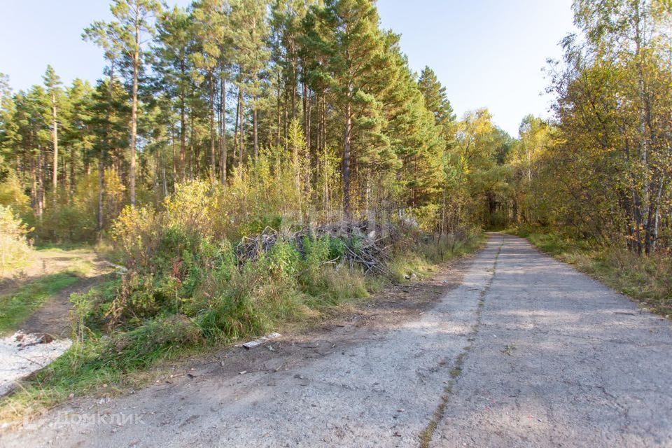 земля г Тобольск Центральная улица, 24, городской округ Тобольск фото 3