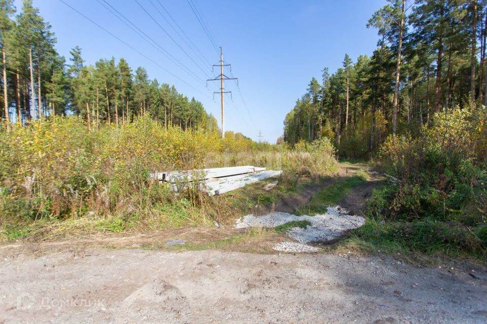 земля г Тобольск Центральная улица, 24, городской округ Тобольск фото 2