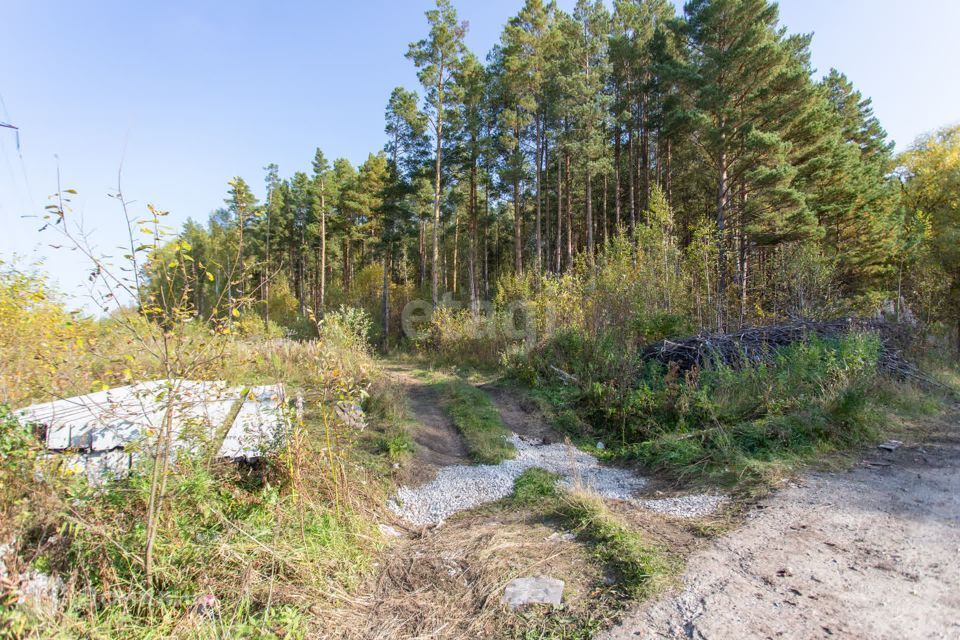 земля г Тобольск Центральная улица, 24, городской округ Тобольск фото 4