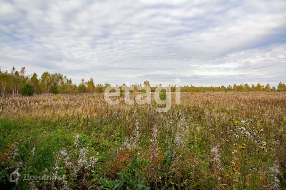 земля р-н Емельяновский фото 2