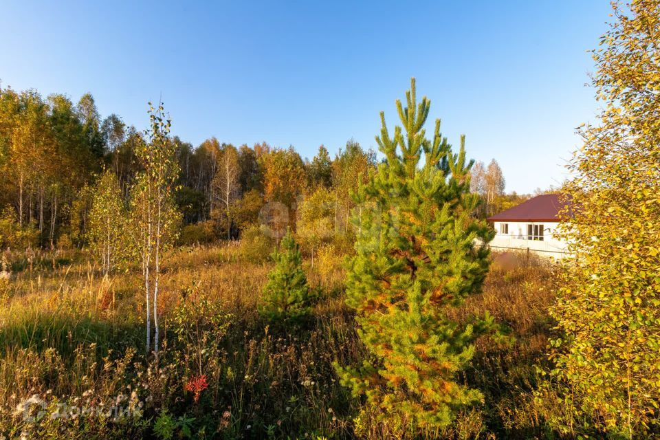 земля р-н Нижнетавдинский снт Геолог-2 Озеро Сундукуль фото 3