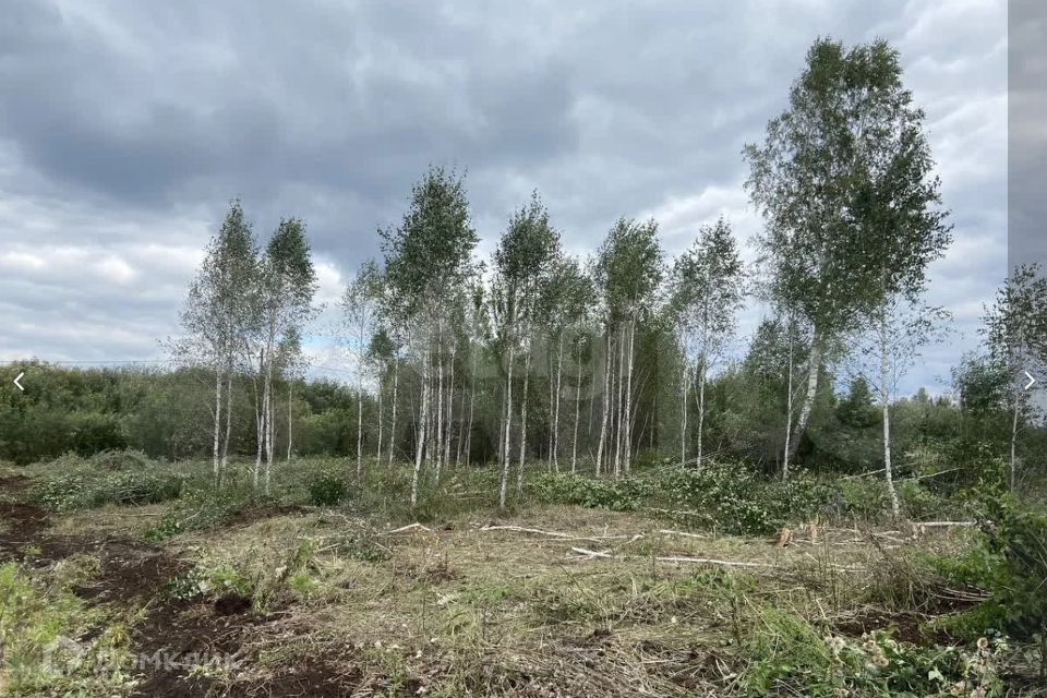 земля г Тюмень снт Светлое городской округ Тюмень, 1-я Степная улица фото 2